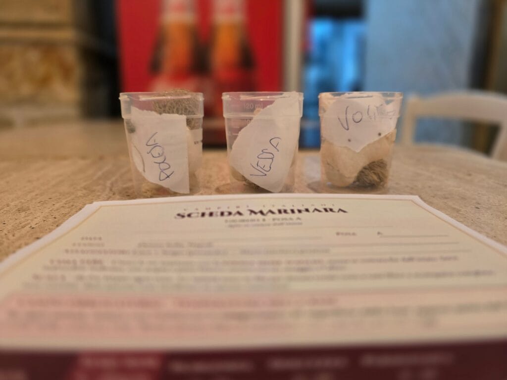 Tre vasetti con teste d’aglio etichettate a mano Polesano, Vessalico e Voghiera, davanti a una scheda Marinara di Vampiri Italiani